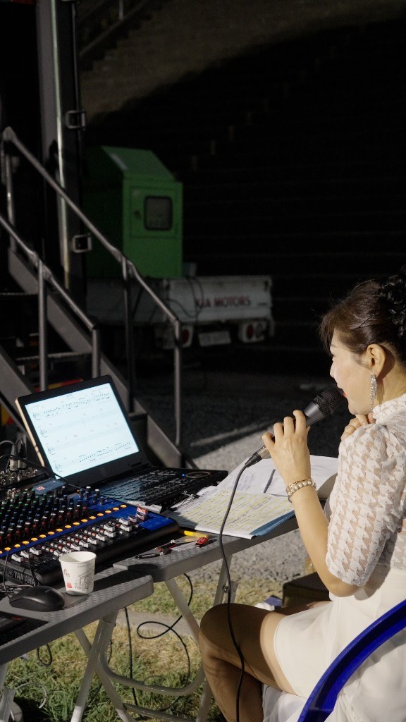PROFESSIONAL SOUND